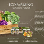 Eco Farming Pupuk Organik Paling Dahsyat